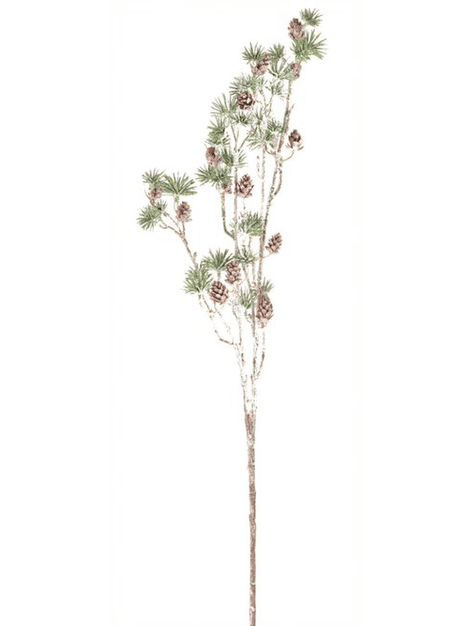 Vetvička borovice 74x18x6cm