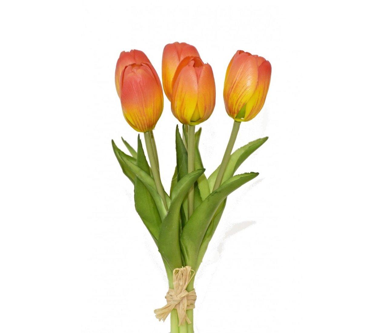 Tulipán kytička oranžová