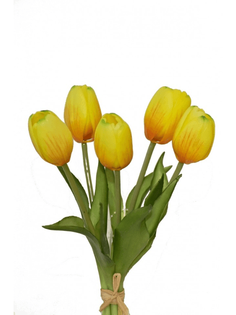 Tulipán kytička žltá