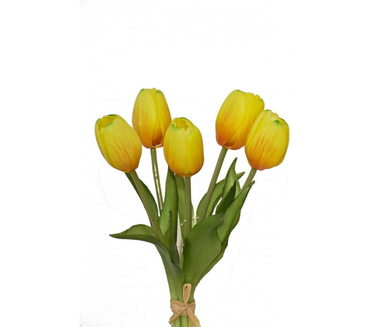 Tulipán kytička žltá