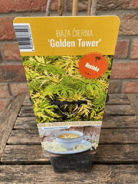 Baza čierna Golden Tower