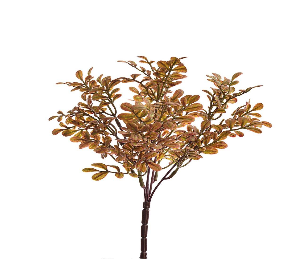 Halúzka Buxus ker hnedý