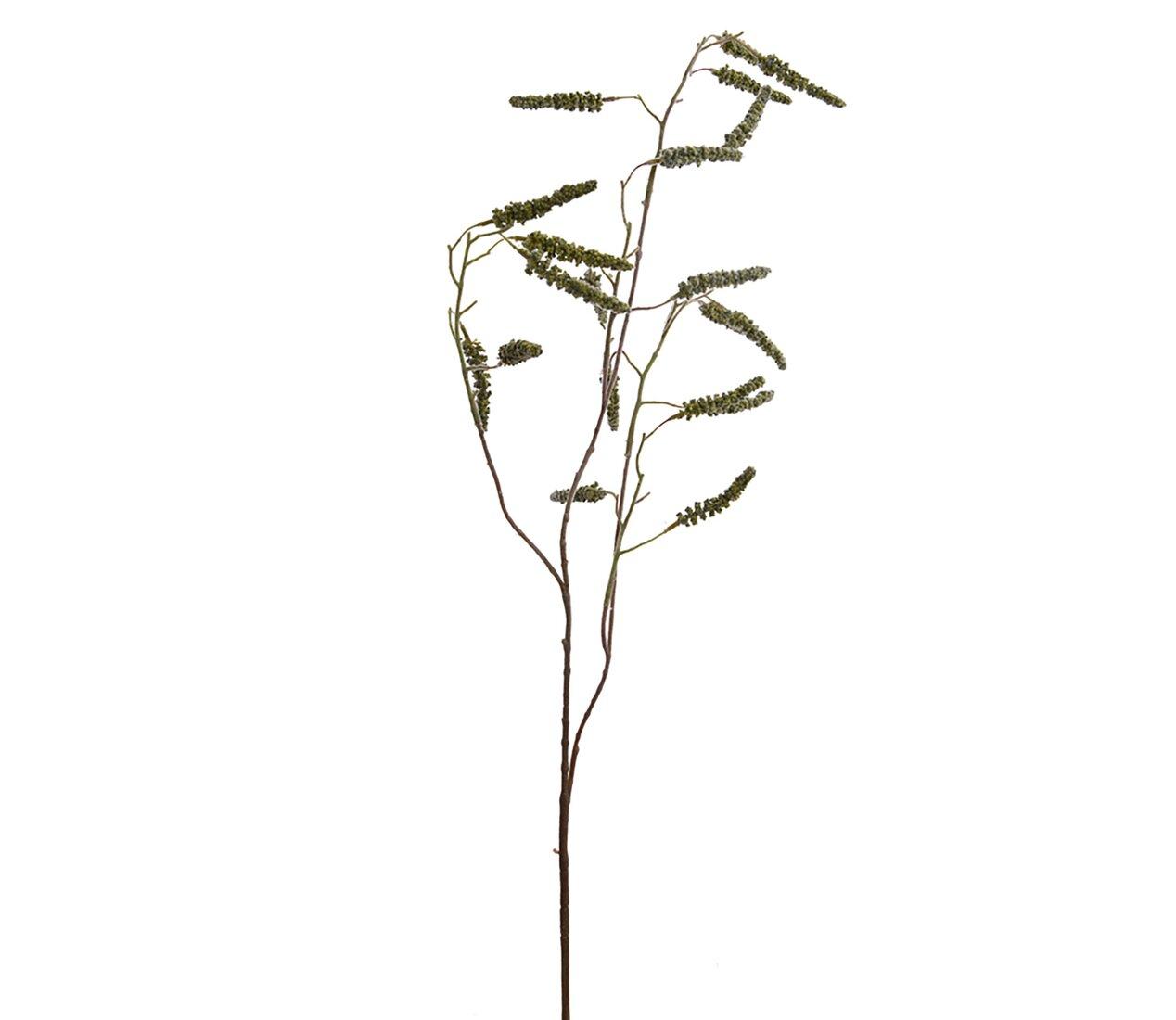 Amaranthus zelený 90cm